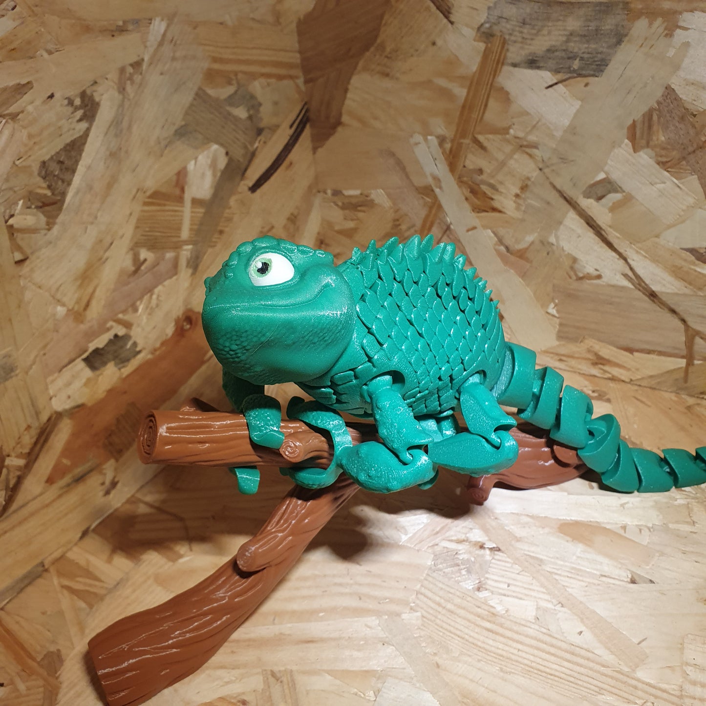 Caméléon Flexible sur sa Branche