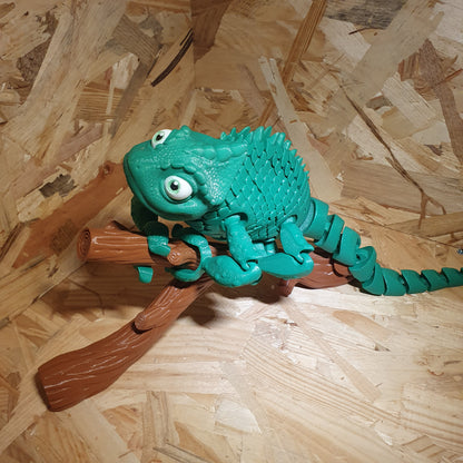 Caméléon Flexible sur sa Branche